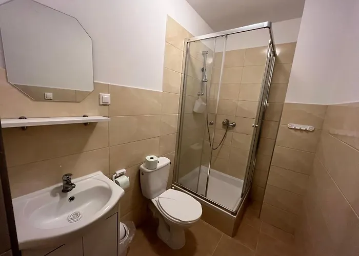 Private Bathroom King Room